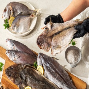 국내산 반건조 대구 담백시원한 말린 활복 대구 2미 33cm [원산지:국산]