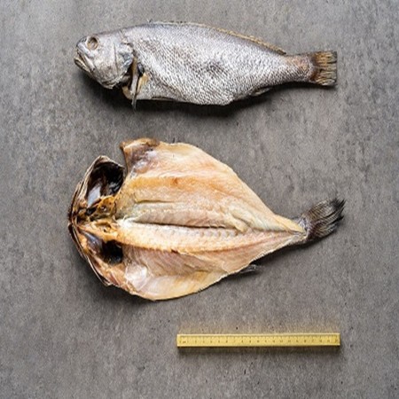 국내산 반건조 민어 제철 제사 생선 손질 활복민어 생선요리 3미 [원산지:국산]